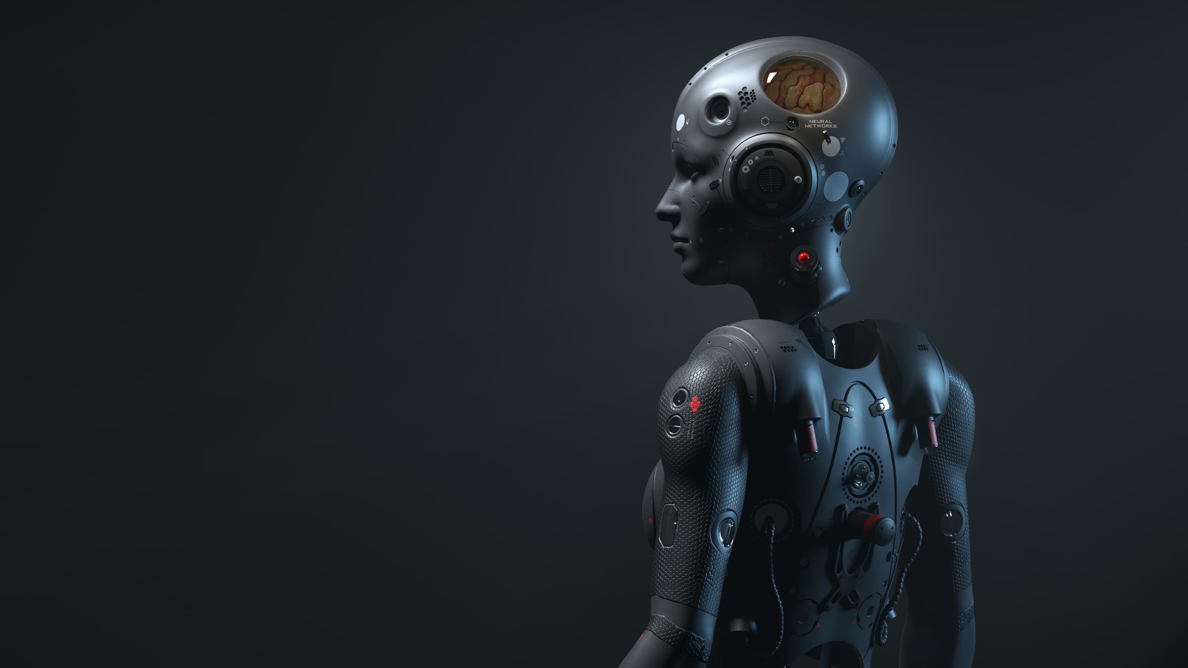 AI Agent Development 
